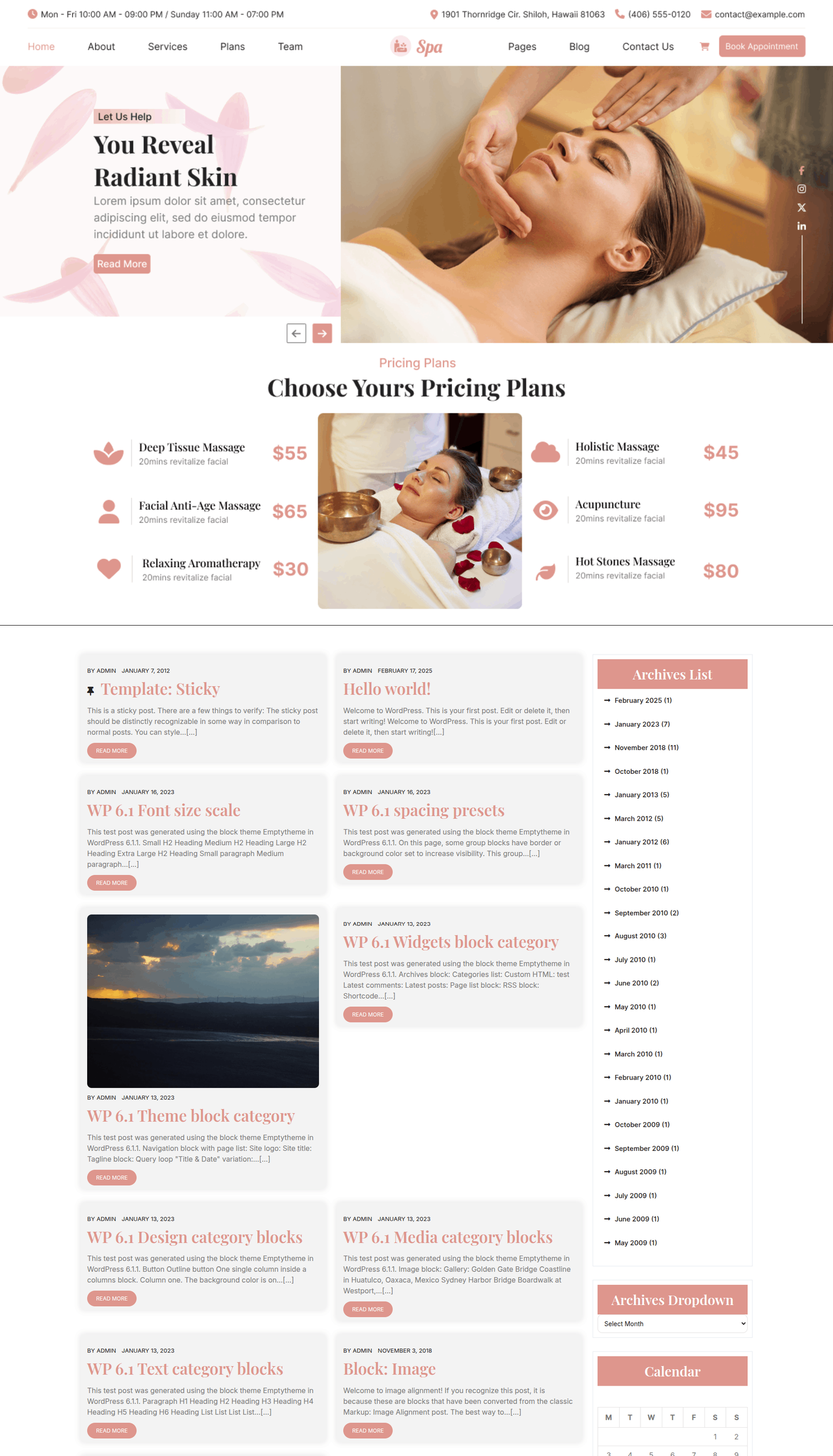 Free Spa WordPress Theme